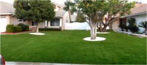 Artificial Grass Maintenance Contractor, Synthetic Lawn Cleaning and Maintenance North Las Vegas NV