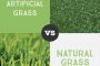 Artificial Grass vs Natural Grass, Artificial Turf Advantages North Las Vegas NV