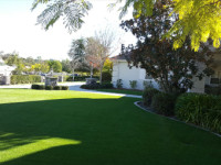 Synthetic Turf Services Company, Artificial Grass Residential and Commercial Projects in North Las Vegas